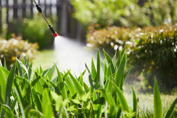 24/7 Emergency Mosquito Control experts in Towanda, PA